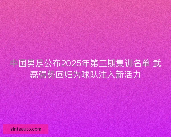 中国男足公布2025年第三期集训名单 武磊强势回归为球队注入新活力