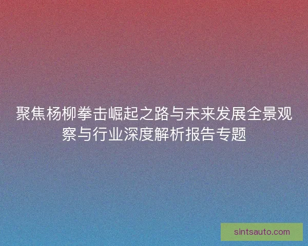 聚焦杨柳拳击崛起之路与未来发展全景观察与行业深度解析报告专题